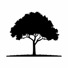 Fototapeta premium Vector silhouette of tree on white background