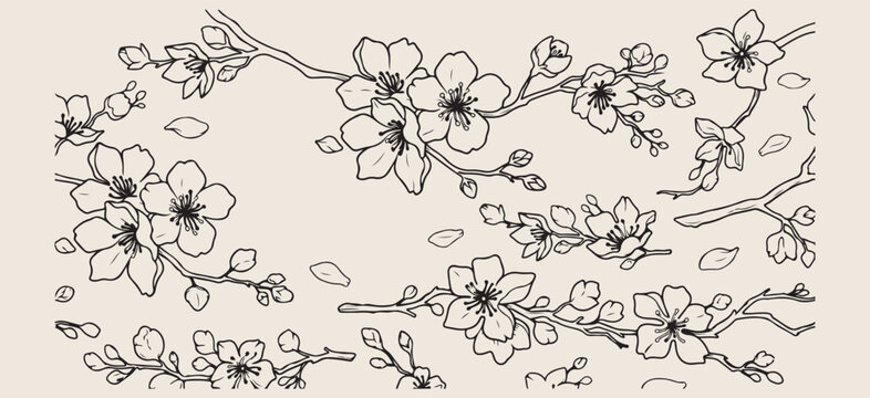 Cherry blossom floral branch set, spring sakura flower illustrations, Japanese botanical nature graphics, blooming tree branch icons, elegant floral sketch elements, oriental garden flower symbols, ch