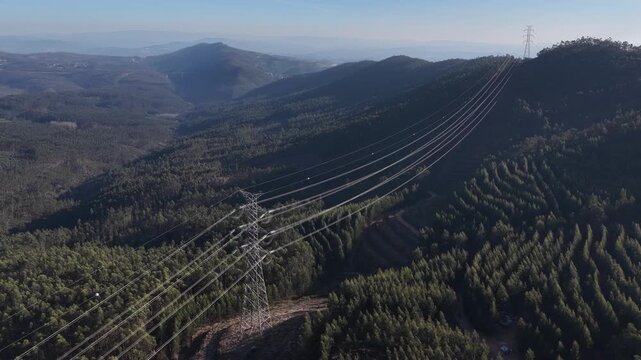 Drone shot of energy power lines and high voltage towers across the Eucalyptus monocultures in Portugal.