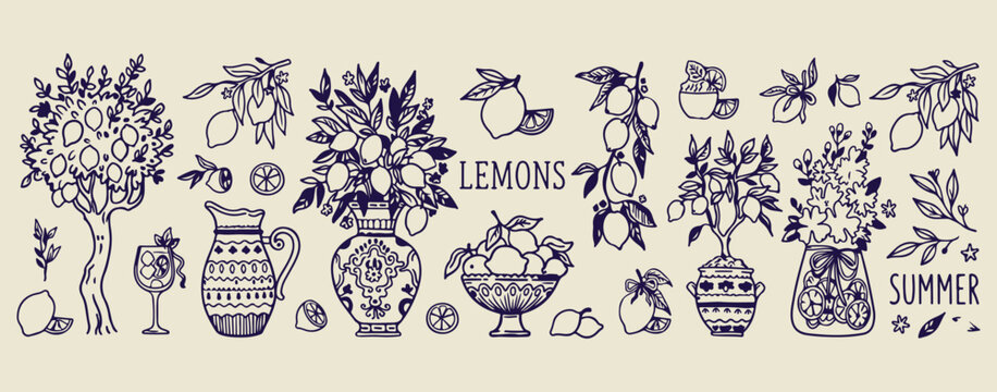 Lemon and fruit branch sketch set, botanical citrus tree illustrations, black ink nature floral graphics, fresh organic fruit icon elements, garden lemon harvest symbols, hand drawn botanical design c