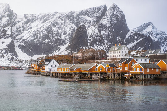 View of golden cabins and white houses nestle by the water's edge, contrasting with snow-capped mountains under a muted sky, Hamnoy, Nordland, Norway.
