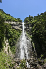 Obraz premium waterfall in the forest