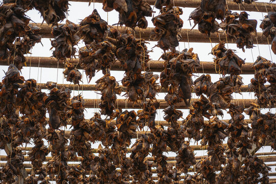 View of rows of dried fish hanging from wooden racks under a bright sky, creating an intricate pattern of textures and shadows, Skjelfjorden, Norway.