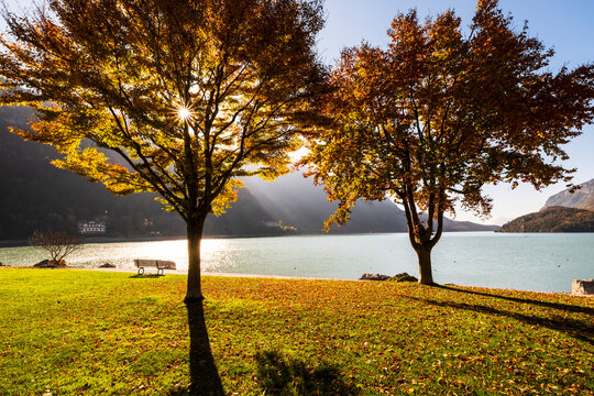 Autumn landscape, trees and foliage on the shore of Molveno lake in sunlight, tourism concept. Molveno lake, Trentino, Italy.