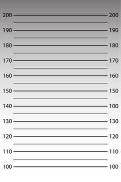 Police lineup background with height chart in centimeters