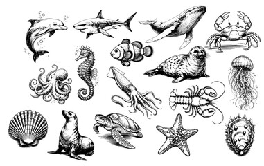 Obraz premium A bundle of sea creatures black and white hand draw vector file.
