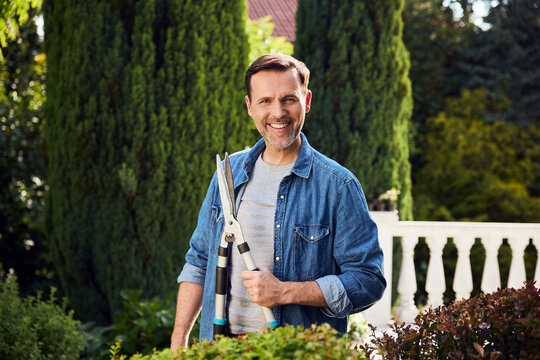 Smiling man pruning hedge with shear in backyard garden