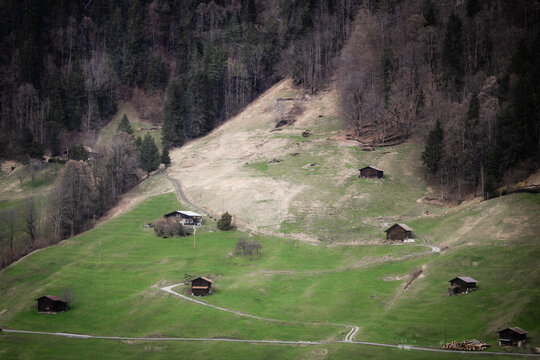 View of quaint wooden chalets dotting the verdant hillside, nestled beneath a dark forest, with winding paths leading through the idyllic landscape, Lauterbrunnen, Switzerland.