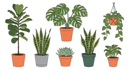 Fototapeta premium Collection of house plants illustrated in vector style against a white background