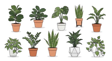 Fototapeta premium Collection of various potted plants in different containers vector illustration