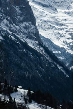View of snow-dusted peaks rise in stark contrast to the dark, textured forests clinging to the mountainside, a serene alpine landscape, Wengen, Switzerland.