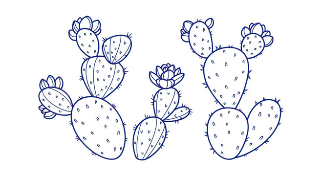 Hand Drawn Sketch of Prickly Pear Cacti with Flowers.