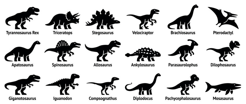 Collection of various black dinosaur silhouettes with their names displayed underneath each prehistoric creature, presented in a clean, graphic style