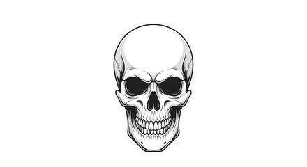 Human Skull Illustration Closeup View. © Aan