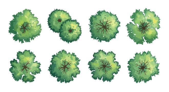 Watercolor architectural tree top view set, 8 green landscape plan symbols, aerial garden vegetation icons for site mapping and masterplan design