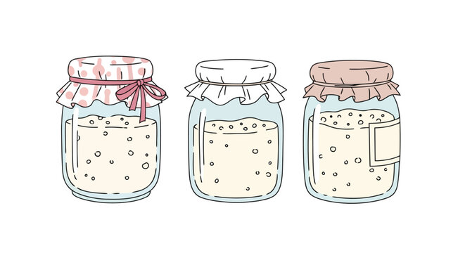 Kombucha SCOBY starter kits in glass jars with fabric covers on clean white background