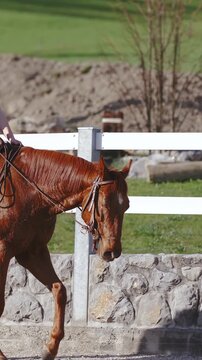 Western horse riding around the arena in slow motion