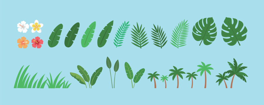 Tropical Summer Leaves and Flowers Vector Illustration Set - Monstera, Palm, Hibiscus, and Plumeria