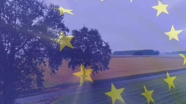 Pair of trees framing road while star ring appearing and washing harvested fields for agriculture