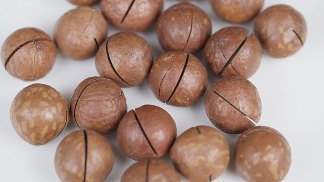 Whole roasted macadamia shells with detailed textural display. Visually highlighting roasted macadamia shells and nuts emphasizing texture and appearance for culinary use