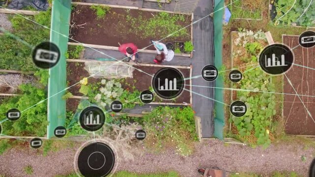 Pair inspecting raised bed, one pointing, data icons forming and linking beds to map sensors