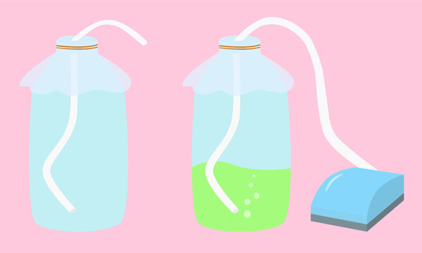 microalgae culture using laboratory glassware. Scientific illustration of botany laboratory