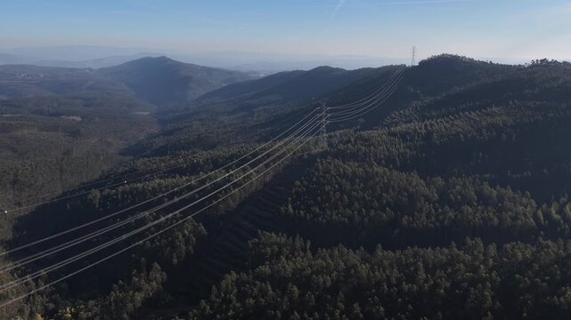 Aerial view of energy power lines and high voltage towers across the Eucalyptus monocultures in Portugal.