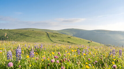 Fototapeta premium Vibrant Lush Meadow with Colorful Wildflowers and Rolling Green Hills Under Blue Sky