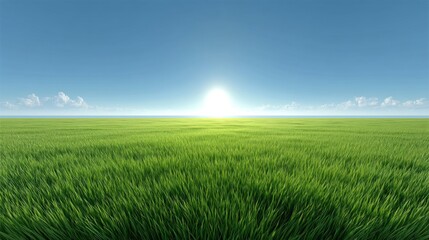 Obraz premium Endless Green Meadow Under Clear Blue Sky with Bright Sunlight and Soft Clouds on the Horizon in a Serene Natural Landscape