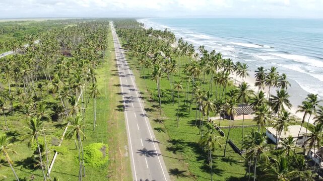Path to the beach venezuela morrocoy