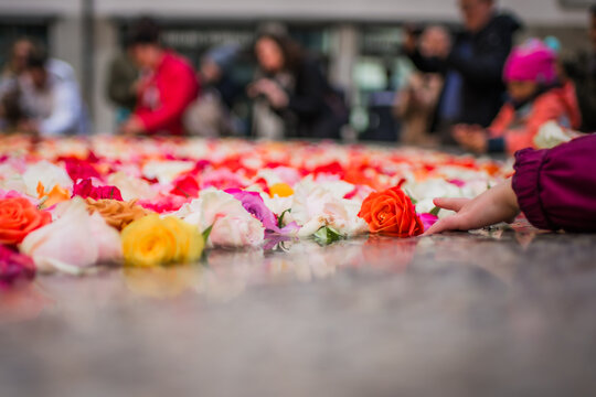 Zurich, Switzerland - 02 April 2023: View of a vibrant floral carpet, a tactile explosion of roses in hues of red, white, yellow, and pink, draws curious onlookers to its fragrant beauty.