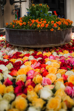Zurich, Switzerland - 02 April 2023: View of a vibrant floral display, where a bed of colorful roses contrasts with a rustic metal planter brimming with orange and green blooms.