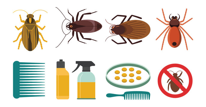 Parasites and pest control vector set with bedbug, louse, mite, dust mite eggs, comb, spray bottle, and no bug sign, clean illustration for hygiene awareness, sanitation, and extermination service des