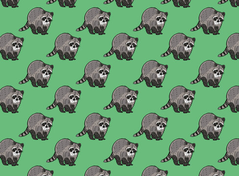 Cute seamless raccoon pattern design in vector, background color can change