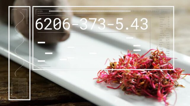 Timed frame ticks starting HUD updating numbers, camera shifting plate showing beet greens for food