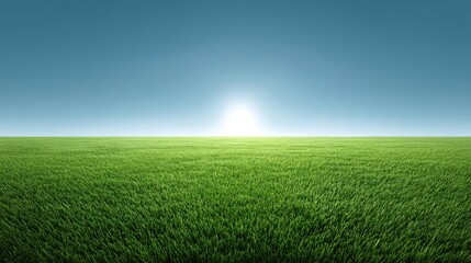 Fototapeta premium Lush Green Grass Field Under Clear Sky at Sunrise with Bright Light Illuminating Horizon Creating Serene Nature Landscape