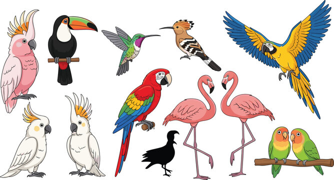 Elegant Butterfly Illustration Set Featuring Detailed Butterfly Wings for Nature, Wildlife, and Animal Graphics Designs.