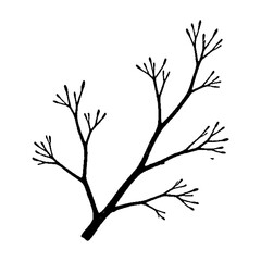 Fototapeta premium Black ink silhouette of a leafless branch, natural twig structure, botanical, isolated plant element, minimalist design.