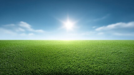 Fototapeta premium Expansive Lush Green Grass Field Under Bright Blue Sky and Shining Sunlight with Soft White Clouds in Background on a Clear Day