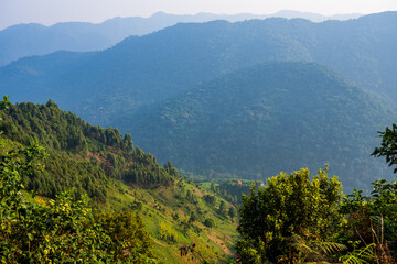 Fototapeta premium Forest-covered hills and mountain ridges near Musanze in northwestern Rwanda