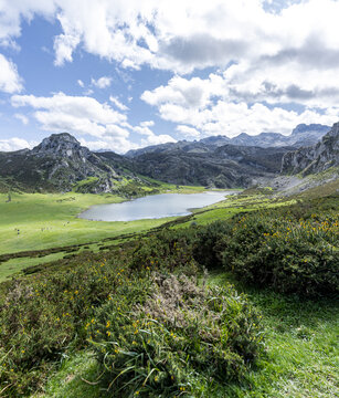 View of a tranquil lake nestled among the rugged, gray peaks and vibrant green meadows under a sky of fluffy white clouds, Picos de Europa, Asturias, Spain.