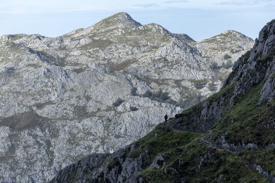 View of a solitary figure traversing a steep, grassy path amidst the rugged, grey-white peaks, under a soft blue sky in Picos de Europa, Spain.
