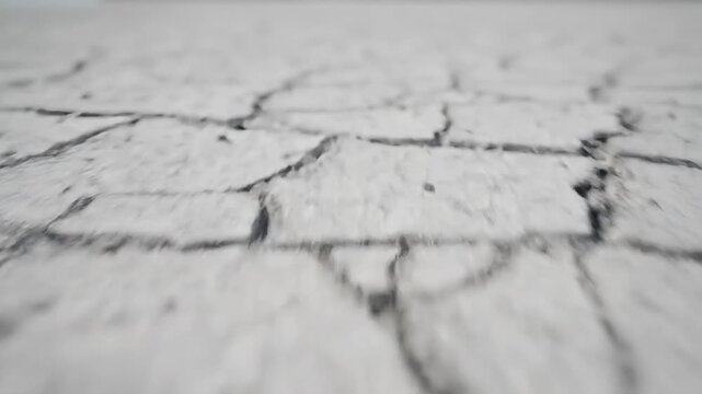 Dry cracked earth, parched ground, barren landscape, desolate terrain