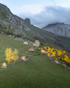 Aerial view of rustic dwellings nestled against the rugged, towering peaks of Picos de Europa, where golden foliage meets the cool, grey stone, Picos de Europa, Asturias, Spain.