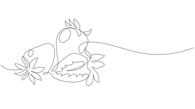 Single Line Art Animation of Fresh Strawberries on White Background
