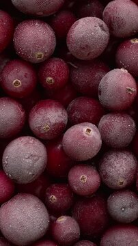 Close-up of raw, frozen cranberries. Table spin, vertical video.