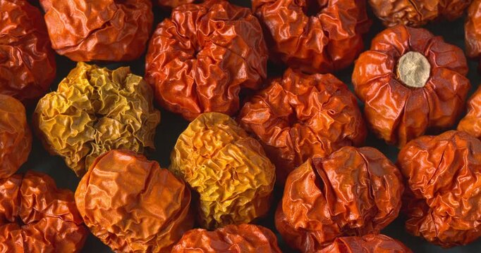 Close-up of dried Ethiopian eggplants (Solanum aethiopicum). Table spin.