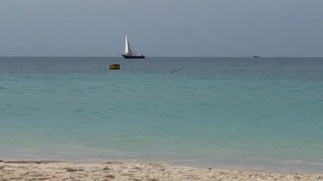 Dhow sailboat on ocean horizon Zanzibar Tanzania