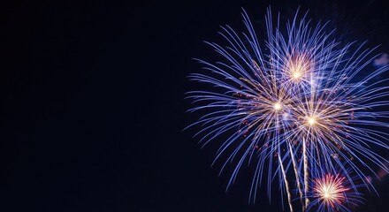Fototapeta premium Spectacular nighttime fireworks display illuminates the dark sky with vibrant colors
