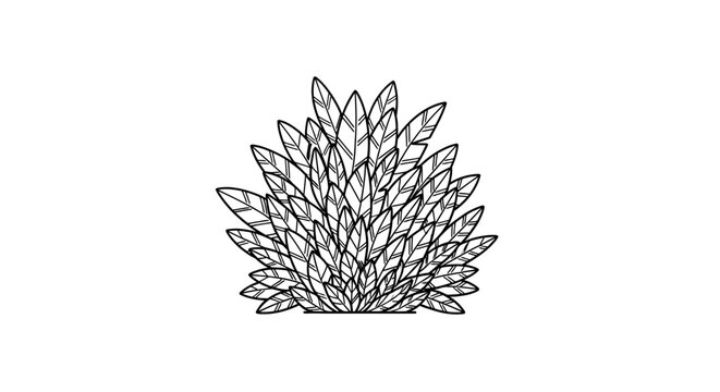 Detailed illustration of agave plant.